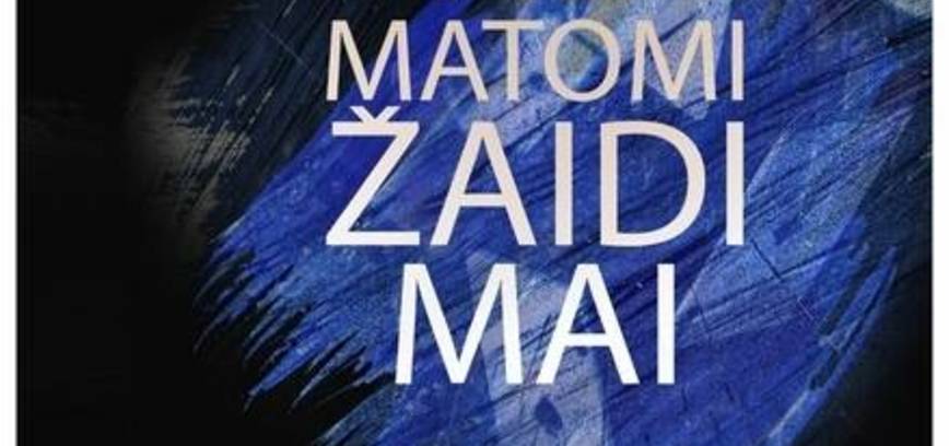 Fotomenininko Žilvino Kropo parodos „Nematomi žaidimai“ atidarymas