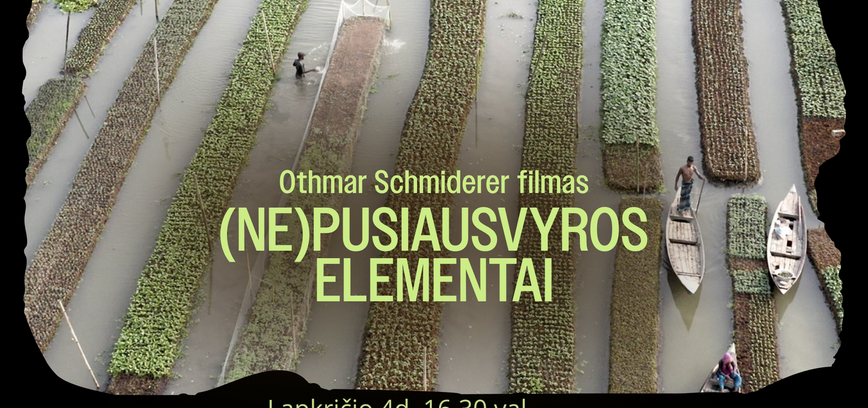 SENGIRĖS KINAS Panevėžio rajono savivaldybės viešojoje bibliotekoje (NE)PUSIAUSVYROS ELEMENTAI