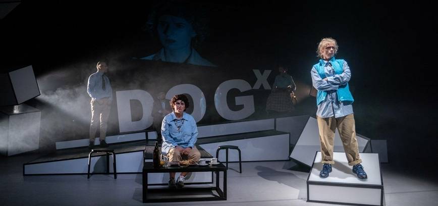 Dviejų dalių nuotykis TAS KEISTAS NUTIKIMAS ŠUNIUI NAKTĮ (rež. A. Jankevičius)