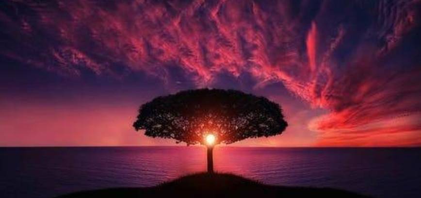 Tarptautinis festivalis „Senjorų daina  - 24“