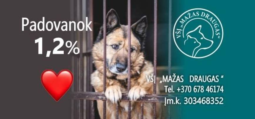 Žygis su „Mažo Draugo“ šunimis