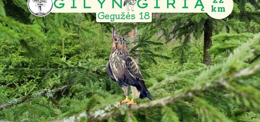 Žygis „Gilyn į girią“