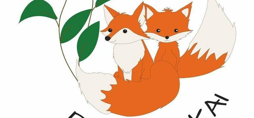 Vaikų žaidimų erdvė „Du lapiukai“