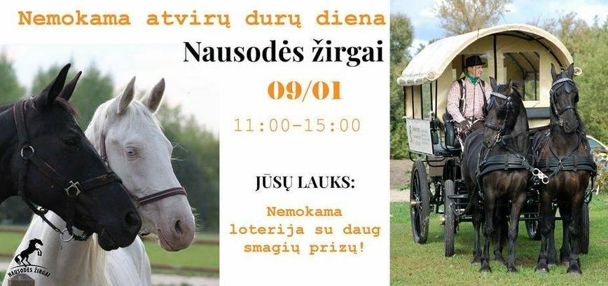 Šeimos savaitgalis su žirgais