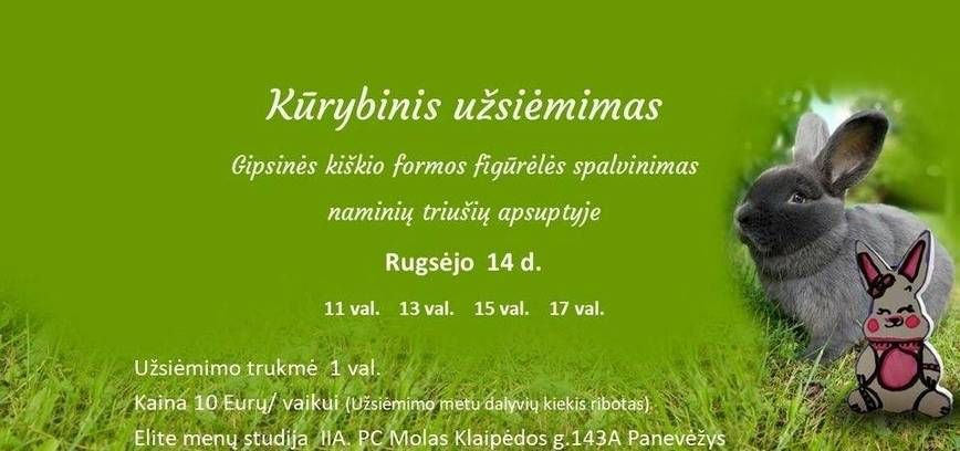 Kūrybinis užsiėmimas naminių triušių apsuptyje