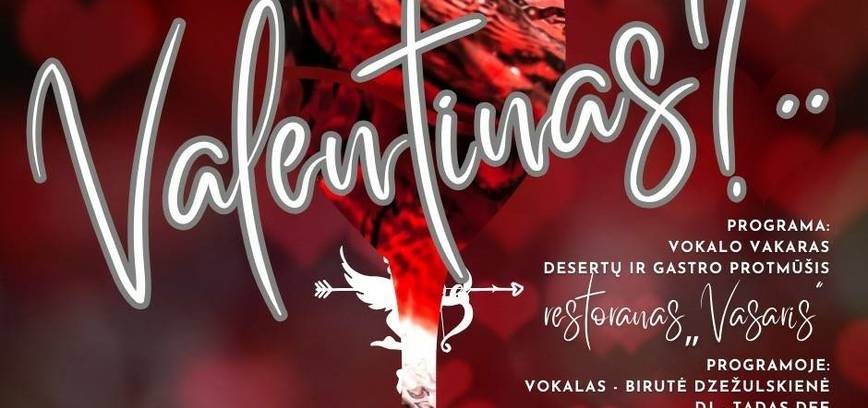 Kokį vyną gertų VALENTINAS? Vakarėlis ir pramoga visiems