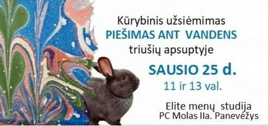 Kūrybinis užsiėmimas „Piešimas ant vandens“ triušiukų apsuptyje