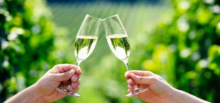 Degustacija „Moldovos saulės purslai“