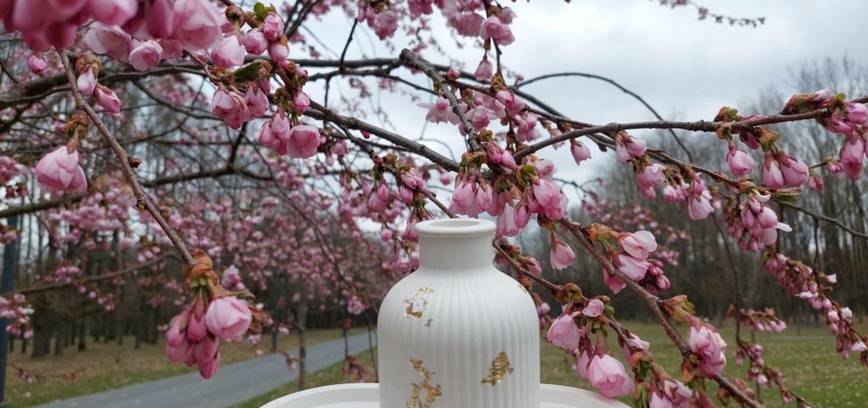 Mama ir vaikas kūrybinės dirbtuvės