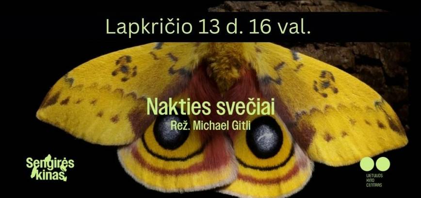 Dengirės kono filmo „Nakties svečiai“ peržiūra bibliotekoje
