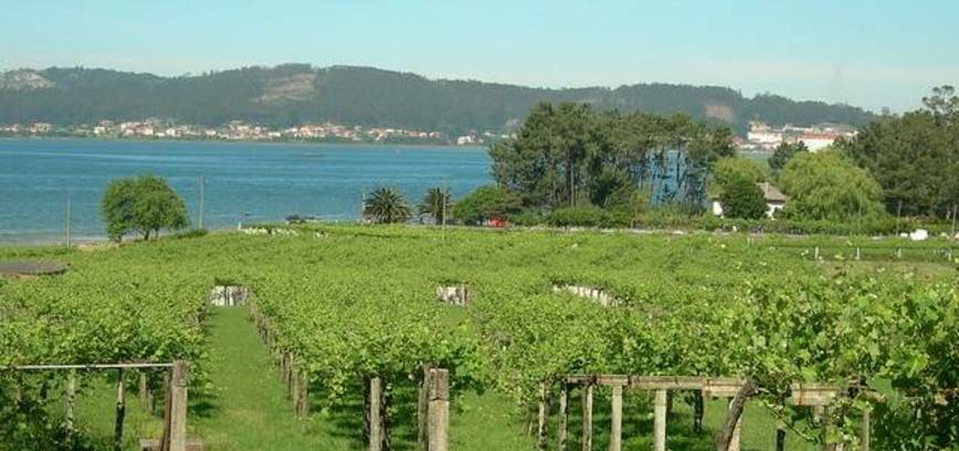 Kelionė vyno taurėje „Vėjų kvepiantis vynas“