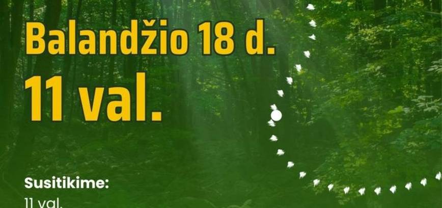 Gamtos ir istorijos taku: pėsčiųjų žygis Ustronės apylinkėse