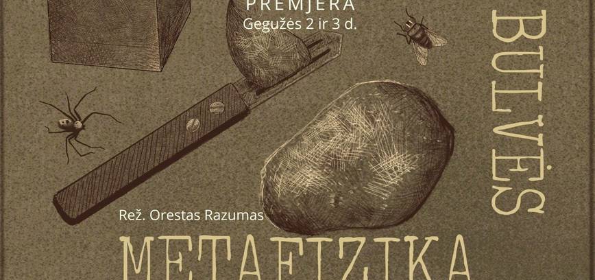 Spektaklio premjera „Bulvės metamorfozė“ (rež. Orestas Razumas). Projektas „(ne)Rezervuota“