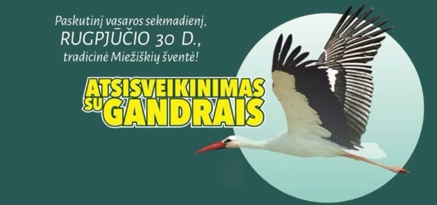 Tradicinė Miežiškių šventė „Atsisveikinimas su gandrais“