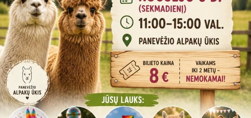 Šeimadienis Panevėžio alpakų ūkyje