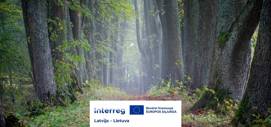 Paskaita „Medžiai ir medžių alėjos bei jų svarba biologinei įvairovei ir klimatui“