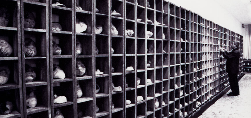 Nemokama edukacija vaikams „Visos laisvos dalys“