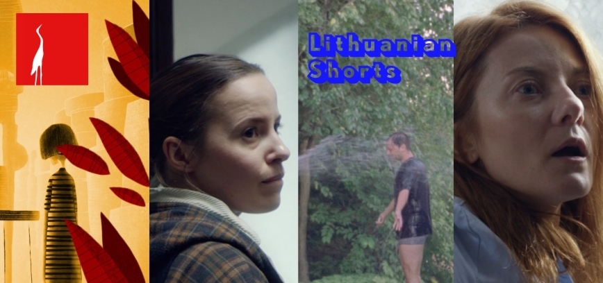Kinas po atviru dangumi / Trumpametražių filmų programa