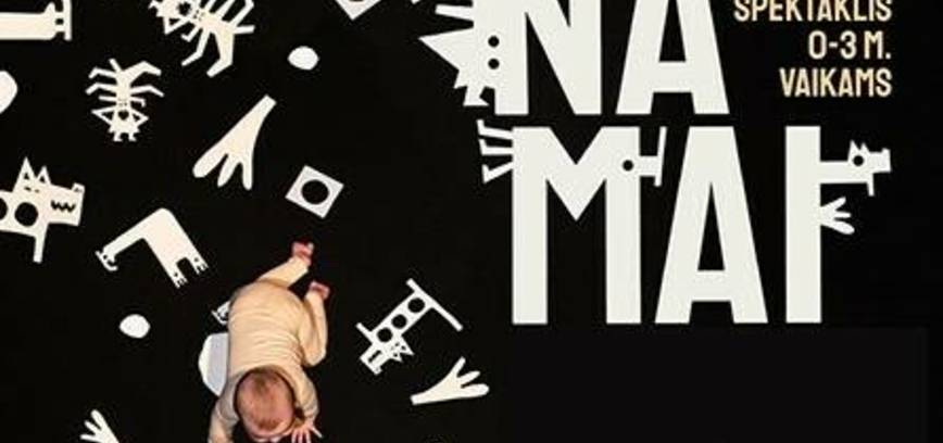 Muzikinis judesio spektaklis „Namai“