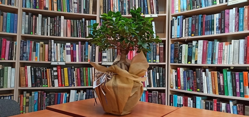 Orientacinis žaidimas-pasimatymas