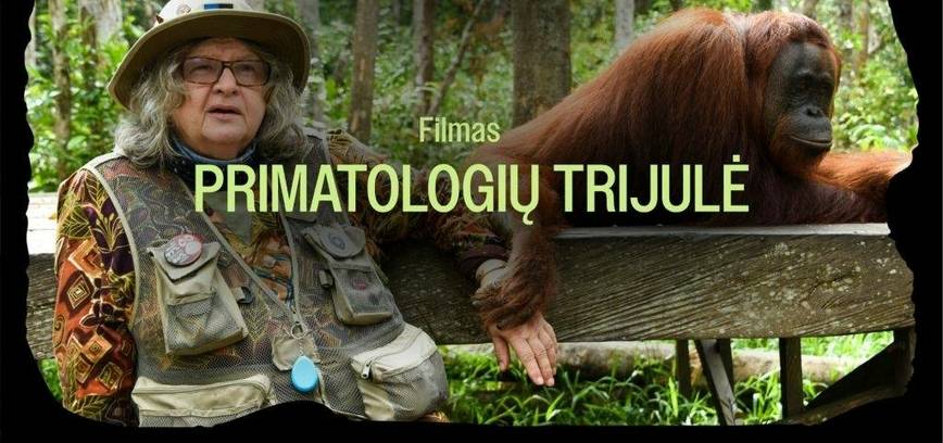 SENGIRĖS KINO pavasario sezoną užbaigia  „Primatologių trijulė