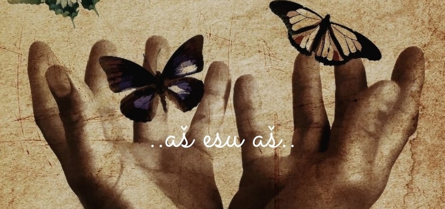 Emocinio intelekto (EI) ugdymo programa jaunimui taikant grupinę dailės terapiją „AŠ esu AŠ“