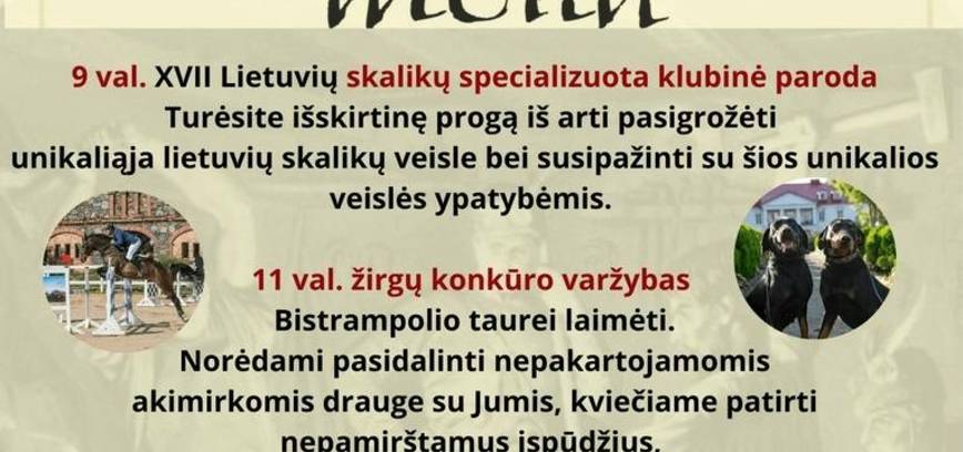  XXIII-asis Bistrampolio festivalis