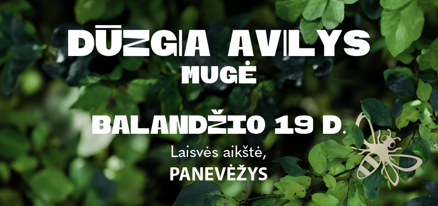 DŪZGIA AVILYS Panevėžyje