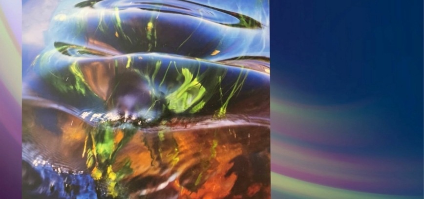 Fotomenininko Algimanto Lūžos fotografijų paroda „Gyvasis gamtos pasaulis “