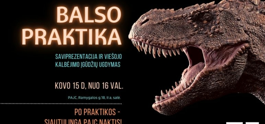 Efektyvi kalba: saviprezentacija ir viešojo kalbėjimo įgūdžių ugdymas