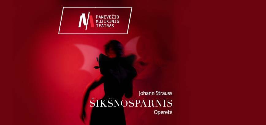 PMT | operetė ŠIKŠNOSPARNIS