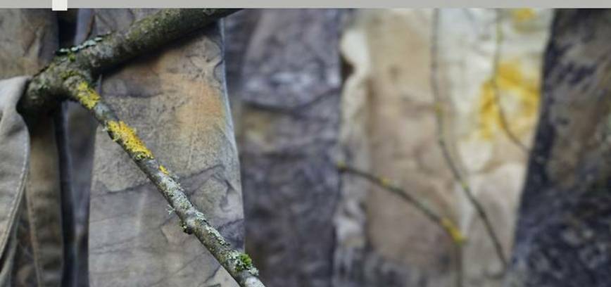 Latvijos menininkės Ritos Brokos paroda „Plantiness“