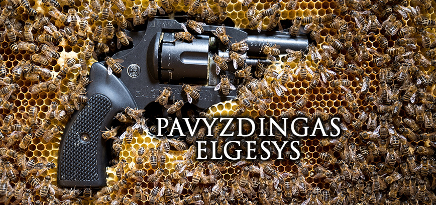 Kinas po atviru dangumi | Filmas „Pavyzdingas elgesys”