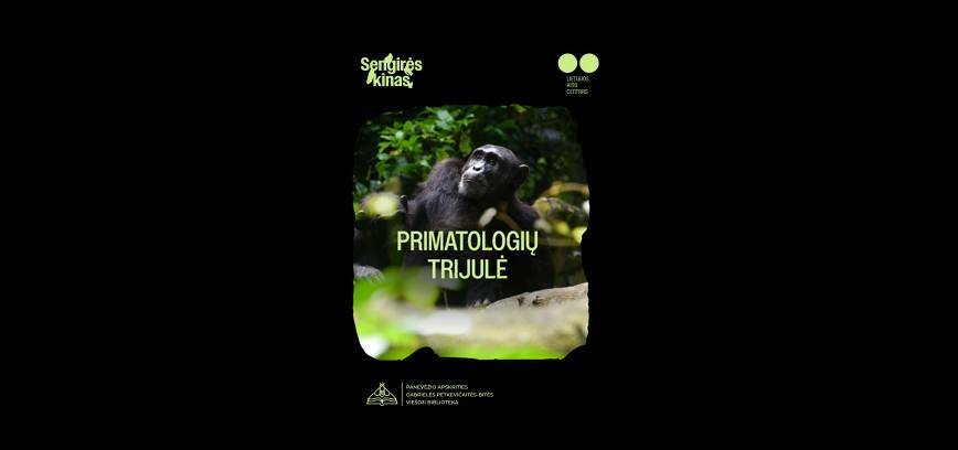 Dokumentinis filmas „Primatologių trijulė“ (rež. Markas ir Caitlin Starowicz, 2020, Kanada, JAV, 2 ser. po 60 min.)