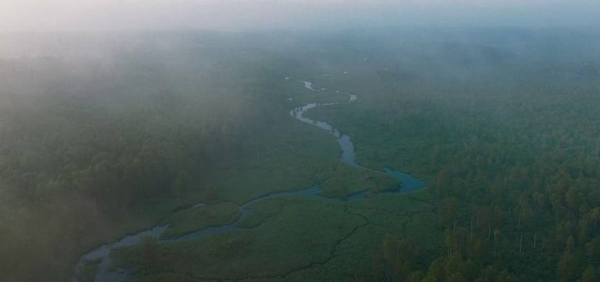 Dokumentinio filmo „Vertikalūs pinigai“ peržiūra