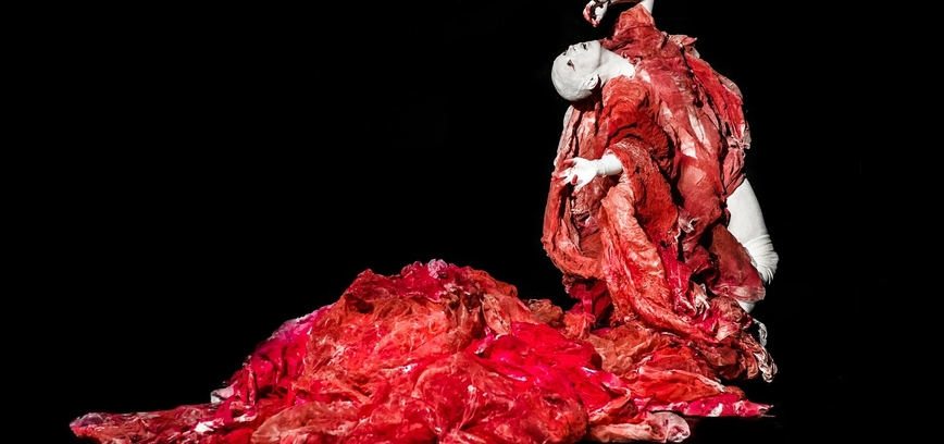 šokio performansas  „Dancer in the dark“