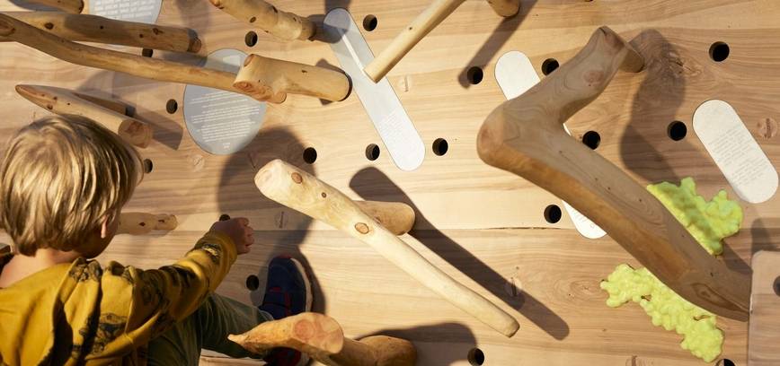 Nemokama edukacija vaikams „Vaikų miško pavilojonas“