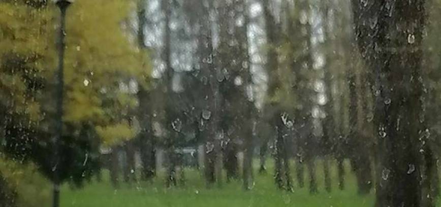 „Gamtos tapyba“ dailės dirbtuvės