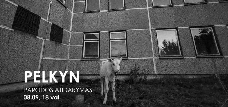 Paroda „Pelkyn“