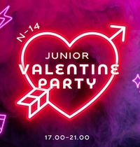 Valentine junior party