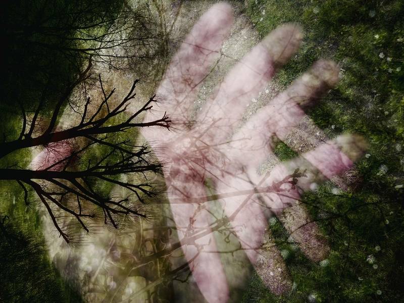 Fotografijos studijos kūrybinė dirbtuvės: overlay fotografija – vaizdo sluoksniai ir vizualinis pasakojimas