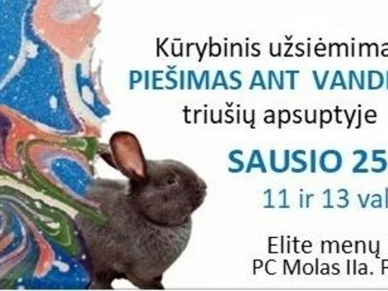 Kūrybinis užsiėmimas „Piešimas ant vandens“ triušiukų apsuptyje