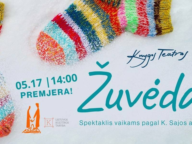 Spektaklis „Žuvėdas“