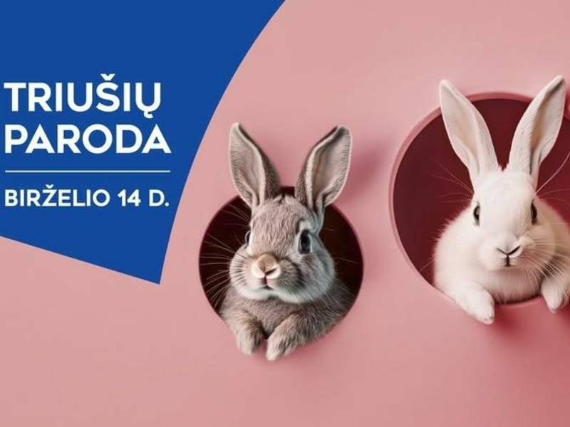 Triušių paroda