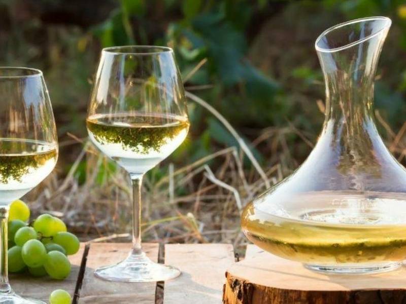 Kelionė vyno taurėje „Chenin Blanc – nepralenkiama baltoji“
