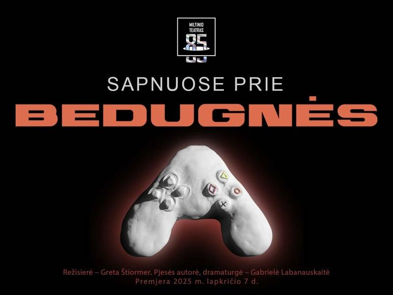 Spektaklio „Sapnuose prie bedugnės“ premjera