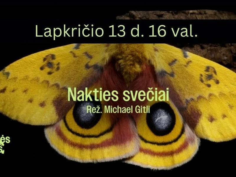 Dengirės kono filmo „Nakties svečiai“ peržiūra bibliotekoje