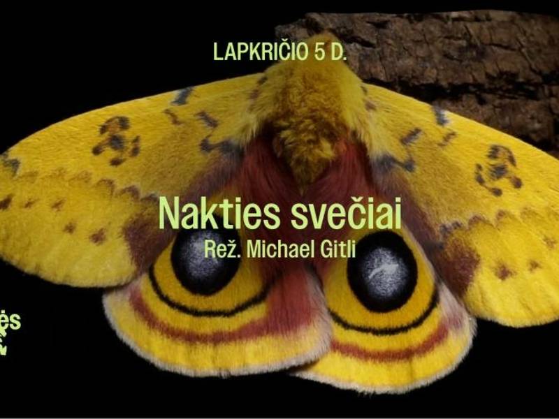 SENGIRĖS KINAS Krekenavos regioninio parko lankytojų centre „Nakties svečiai“