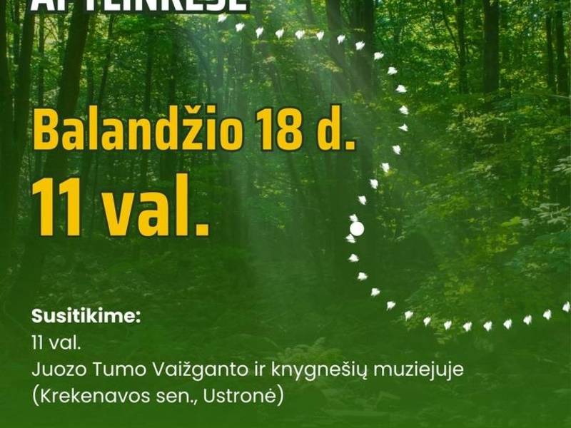 Gamtos ir istorijos taku: pėsčiųjų žygis Ustronės apylinkėse