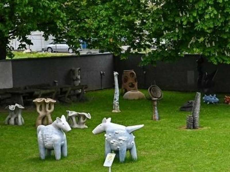 Raku demonstracinis degimas